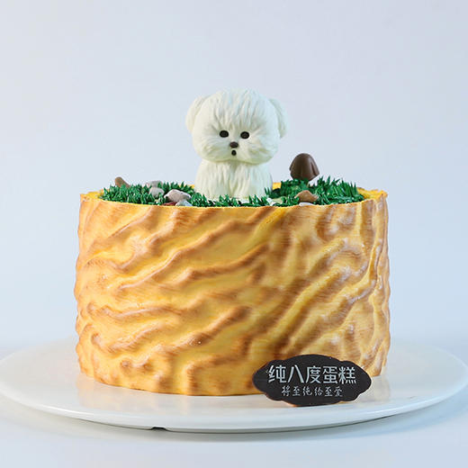 绿风萌宠 商品图1