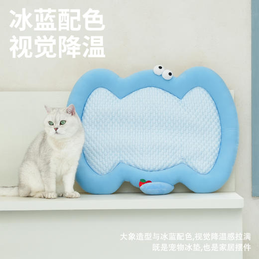 zeze凉凉大象冰感宠物垫-B（包邮） 商品图4