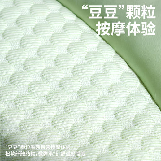 zeze哈密瓜冰感宠物垫-B（包邮） 商品图2