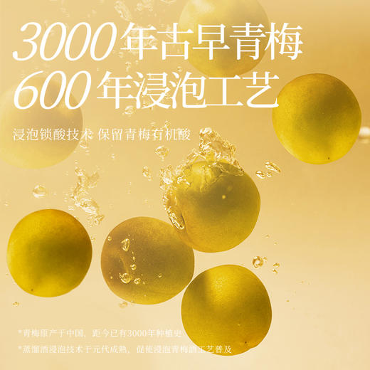 梅见茉莉青梅酒12度330ml*2瓶微醺果酒低度酒梅子酒晚安酒甜酒 商品图4