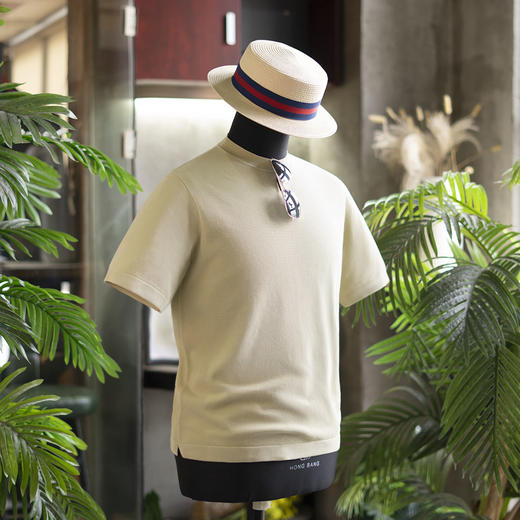 25年新款男士夏日高级皮马棉圆领T恤/polo  两款多色可 选  威化饼干 商品图3