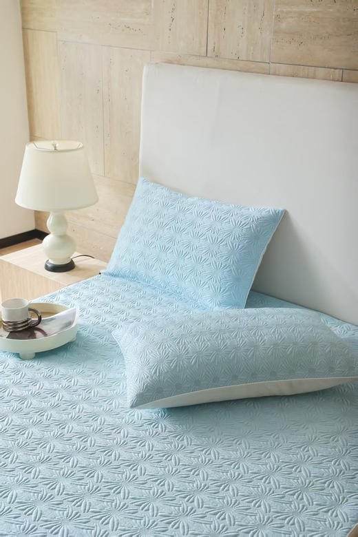 2025夏凉席推荐韩国冷感科技软凉席垫 商品图1