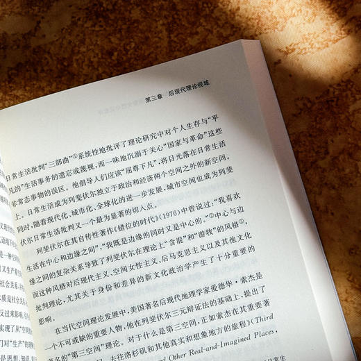 飞翔的姿势 1990年代墨西哥女性小说批评 陈硕 女性叙事 商品图9