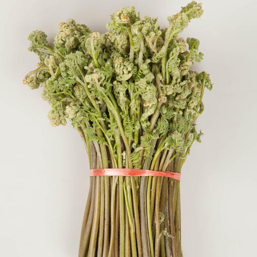 【东北新鲜蕨菜】新鲜蕨菜东北山野菜蘸酱菜 商品图3