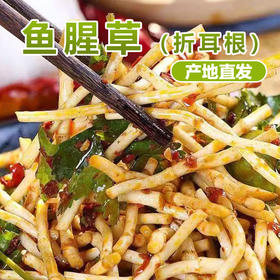 【秒杀】鱼腥草（又名：折耳根）1斤装