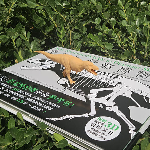 恐龙骨骼博物馆 商品图2