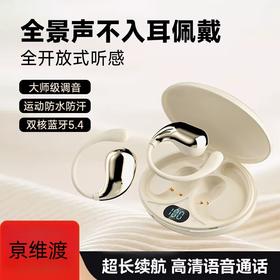 亰维渡D99pro蓝牙耳机