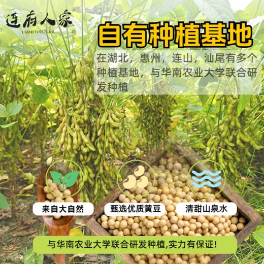 连府人家 头道腐竹 精选非转基因大豆 无杂质 油光有亮泽 400g 商品图2