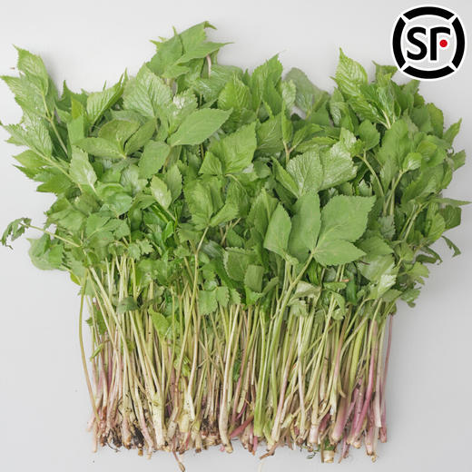 【东北新鲜大叶芹】1斤东北辽宁山野菜山芹菜 商品图0
