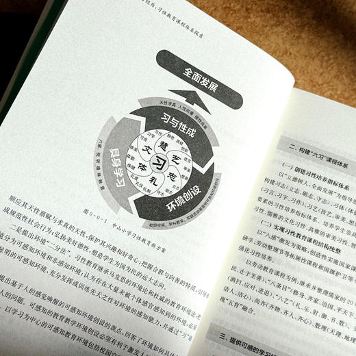 可感的学习经历 习性教育课程体系探索 新质课程文化丛书 商品图8