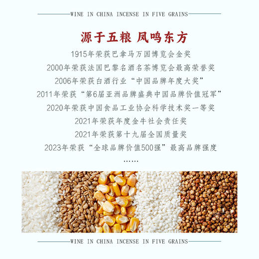 【五粮液新品 家宴限定款】五粮液-百鸟朝凤系列/宫廷蓝 浓香型白酒 52%vol 商品图2