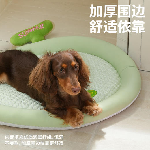 zeze哈密瓜冰感宠物垫-B（包邮） 商品图3