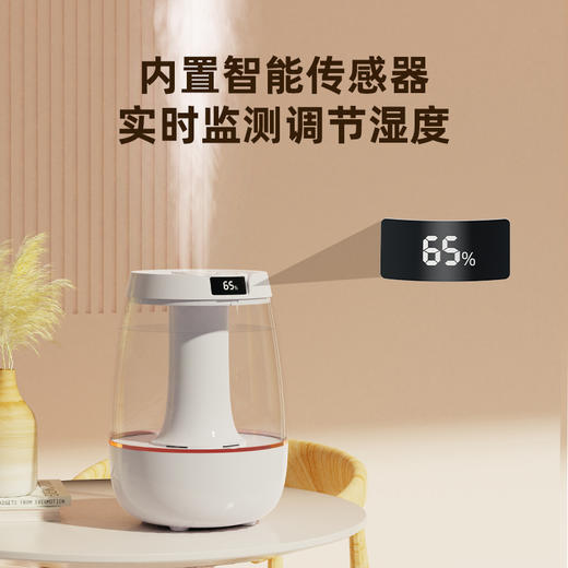 亰维渡JH-019双喷加湿器 商品图1