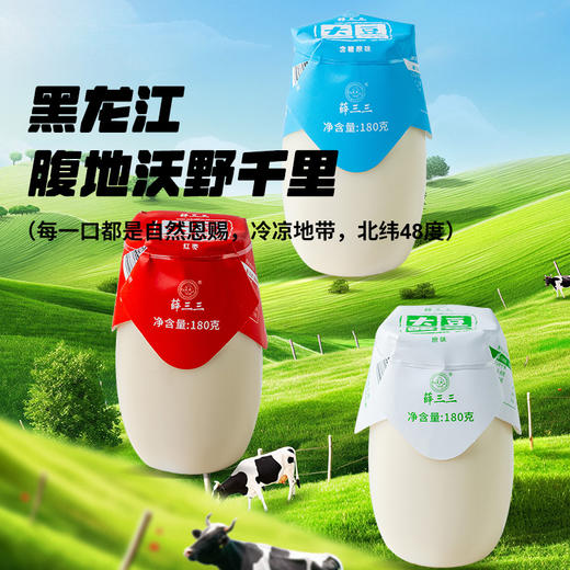 小罐植物酸奶 | 180g*12罐 原味/红枣味 非转基因大豆 植物蛋白 豆妃「下单后72小时内发货」 商品图2