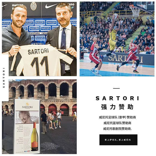 【米其林餐厅合作酒庄】意大利原瓶进口红酒干红葡萄酒  威尼托臻选干红葡萄酒 商品图5