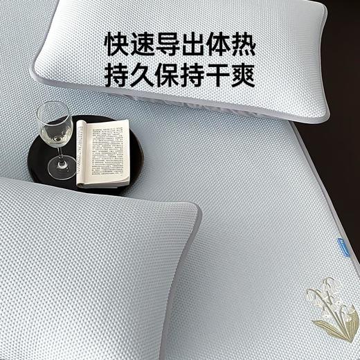 洁丽雅冰丝席夏季家用宿舍夏天席子家用高端凉席三件套凉感席子 商品图4