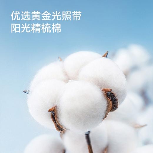 男女童短袜五双装夏季新款安奈儿童装JM527266 商品图4