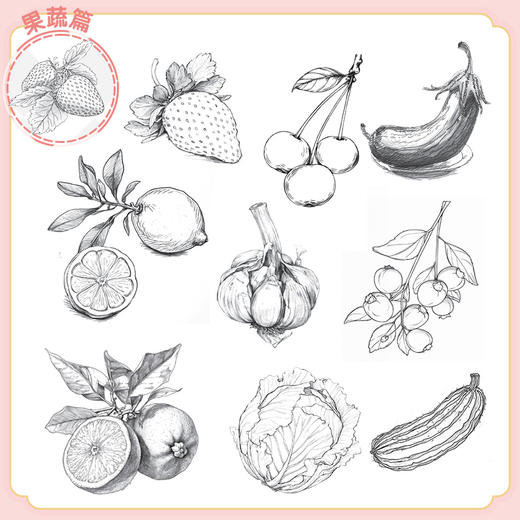 儿童插画线稿素材集 花卉植物卷 儿童插画临摹素材图册画册画集 儿童创意插画教程 商品图2