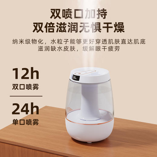 亰维渡JH-019双喷加湿器 商品图3