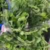 配花配草鼠刺一扎 商品缩略图1