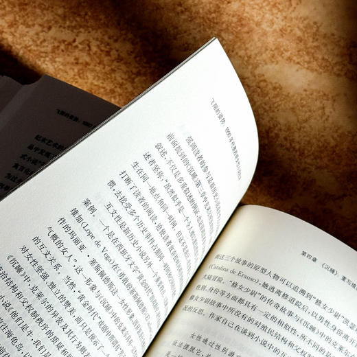 飞翔的姿势 1990年代墨西哥女性小说批评 陈硕 女性叙事 商品图11