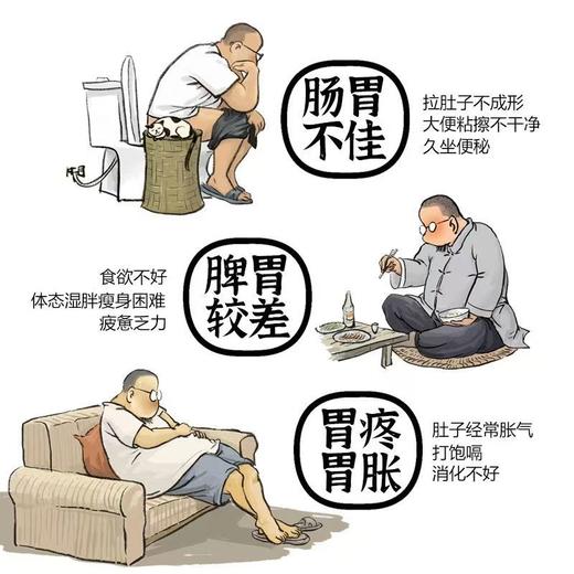 五行健脾散 五味早餐糊加味山药茯苓养胃粉 商品图1