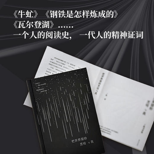 把世界留给黑暗与我：丁帆书评集（学者丁帆全新文学评论集。解读经典，对话巨匠，重申知识分子的志业与担当） 商品图0