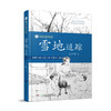 四季读不停(全4册)：雪地追踪+会飞的伙伴+带刺的朋友+奇妙的田螺 商品缩略图4
