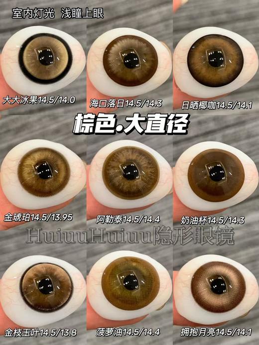 【大直径合集】金棕色合集-14.5mm【年抛/半年抛/日抛 0-800度 无525/575】【室内暖光，浅瞳上眼】 商品图0