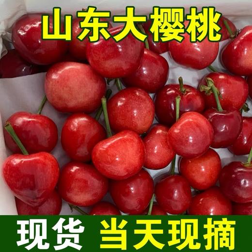 山东烟台红灯樱桃3斤装/5斤装 商品图4