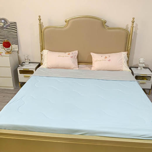 【维科家纺】凉感冰蚕芯夏被 商品图0