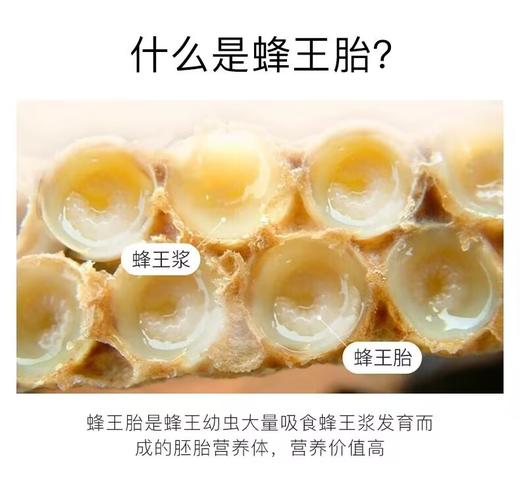 云南蜂王胎冻干片 商品图3
