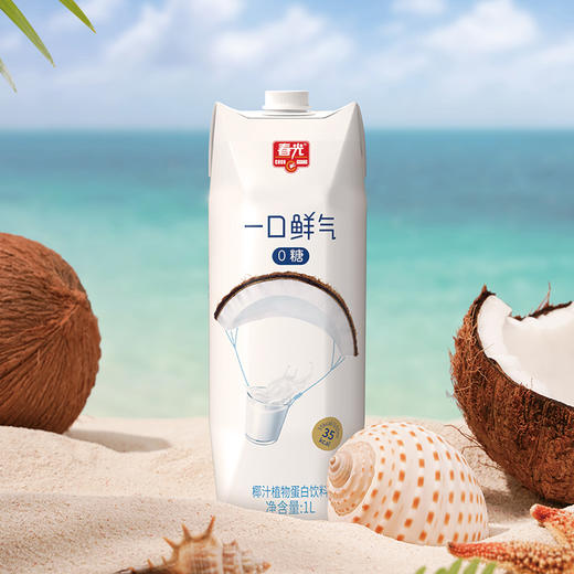 一口鲜气椰汁1L 饮料（偏远地区不发货） 商品图1