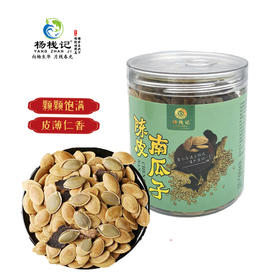 广东江门杨栈记陈皮南瓜子210g*2罐
