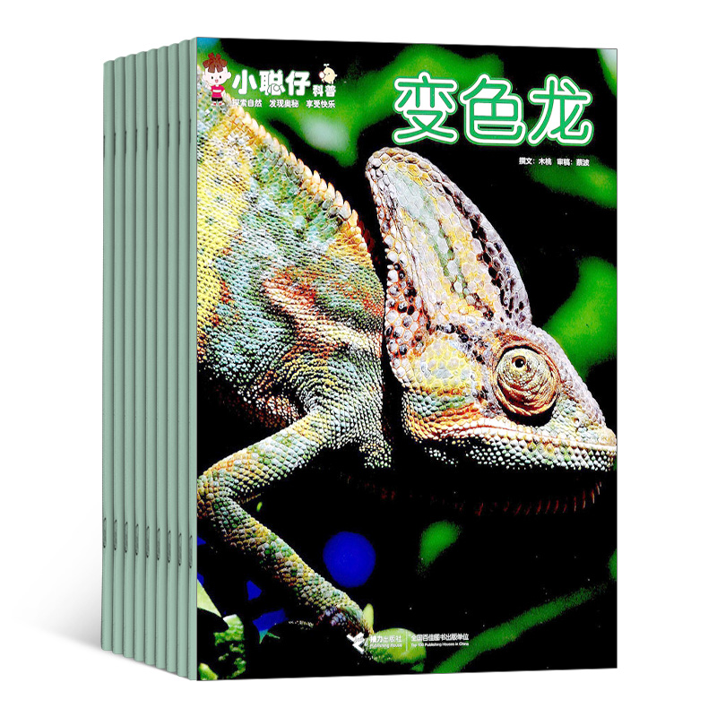 【杂志】《小聪仔》自然科普杂志2026年刊订阅（科普版、幼儿版）