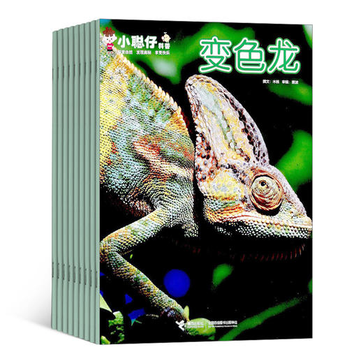 【杂志】《小聪仔》自然科普杂志2026年刊订阅（科普版、幼儿版） 商品图0