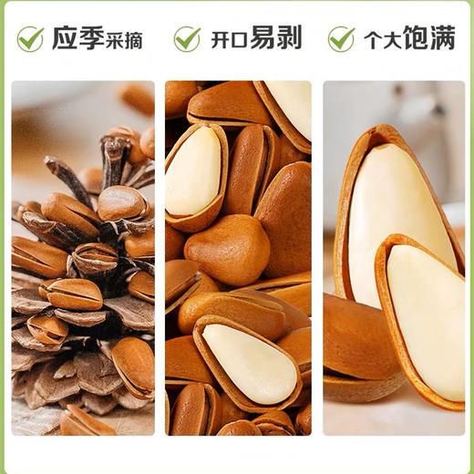 云南杨栈记松子250g/罐 商品图3
