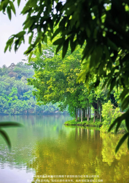 【美置物业】三水森林公园+长岐古村  佛山纯玩一日游 商品图1