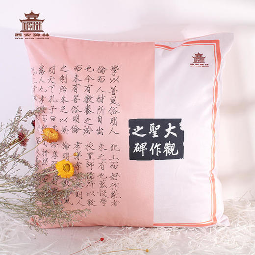 西安【慈禧系列抱枕套】【大观圣作碑抱枕套靠垫家用客厅靠背靠枕】 商品图10