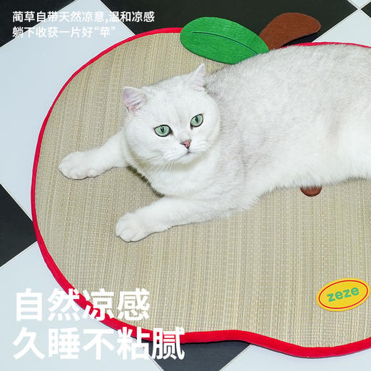 zeze红苹果蔺草宠物垫-B（包邮） 商品图1