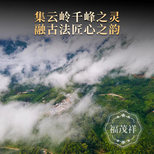 【四大天王】【普洱天王】鼎级珍稀古树原料 独创5421制茶体系 2024年春茶云南普洱茶区古树拼配普洱生茶饼 1提5饼1785g礼盒装 商品图2