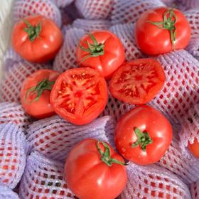 普罗旺斯水果番茄西红柿 4-4.5斤大果