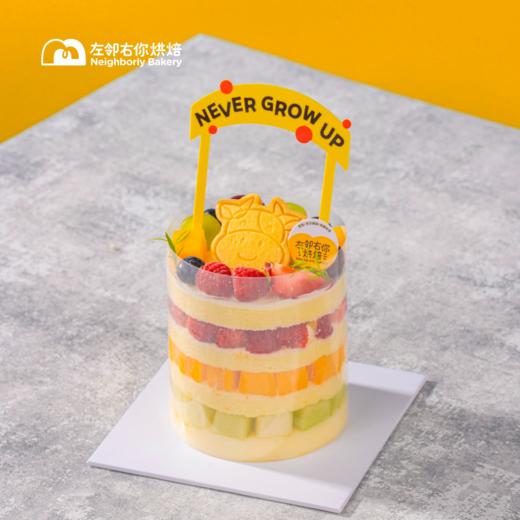 伴你童行·六一可爱限定 3层水果 减糖动物奶油蛋糕 商品图0