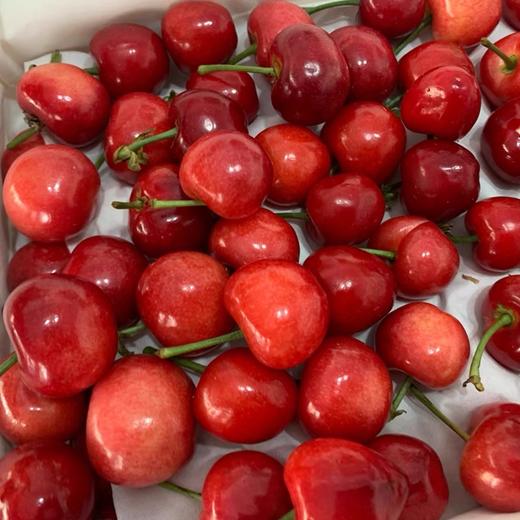 山东烟台红灯樱桃3斤装/5斤装 商品图1