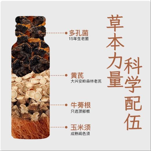 塔哈尔河多孔菌黄芪提取液桦树茸饮品50ml*10瓶 商品图3
