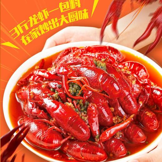 海底捞快手小厨麻辣小龙虾调味料 200g 商品图2