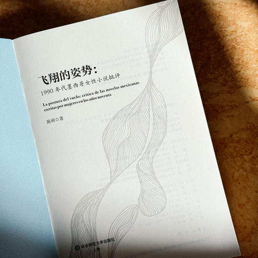 飞翔的姿势 1990年代墨西哥女性小说批评 陈硕 女性叙事 商品图5