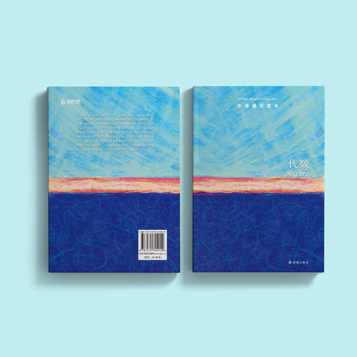 《牛津通识读本：代数》 商品图10