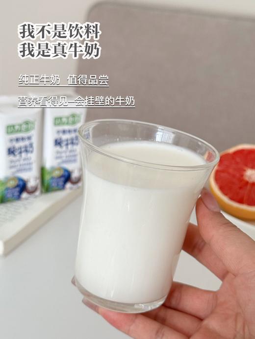 认养地球·宁垦牧场4.0蛋白纯牛奶200ml×10盒/箱 商品图1