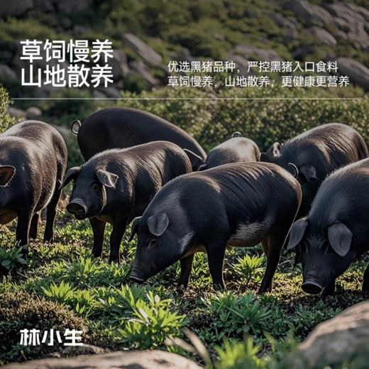 林小生黑猪油 300g*2罐 配料干净 优选跑山黑猪板油 传统人工慢熬 色泽奶白 醇香细腻无杂质 炒菜拌饭 商品图4